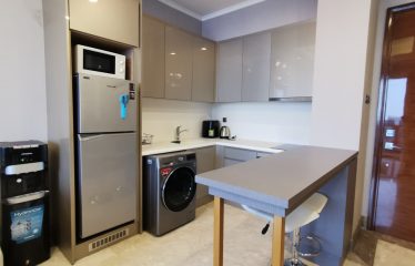 Apartment District 8 SCBD – 1BR Fully Furnished