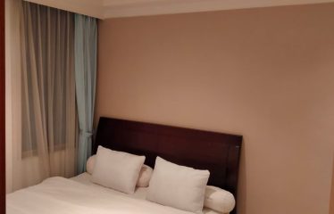 Apartment Sudirman Mansion – 2BR Fully Furnished