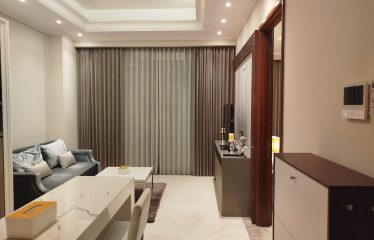 Apartment District 8 SCBD – 1BR Fully Furnished